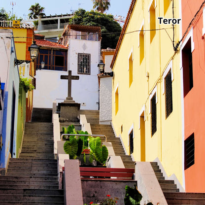 bus tour gran canaria - landscapes teror 2