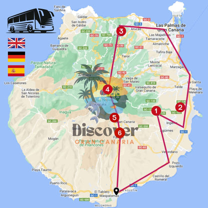 gran canaria bus tour - vip tour