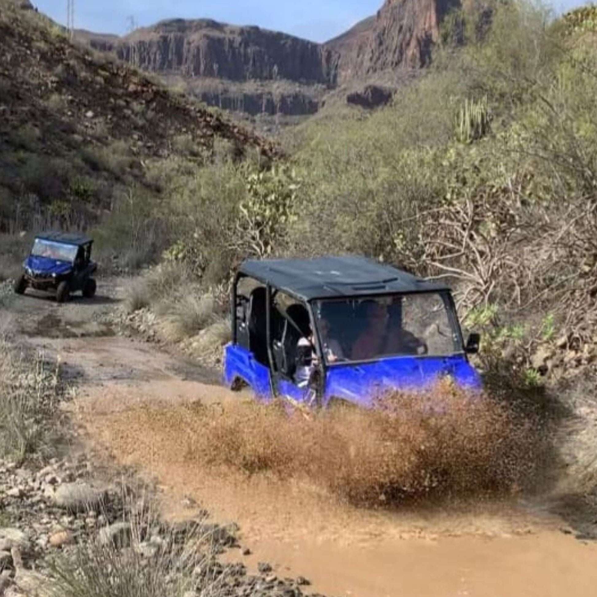 family buggy tour gran canaria
