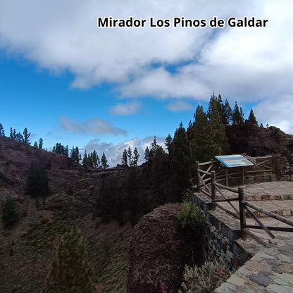 Scenic view of Mirador Los Pinos de Galdar with a wooden platform and sign, surrounded by trees and mountains.