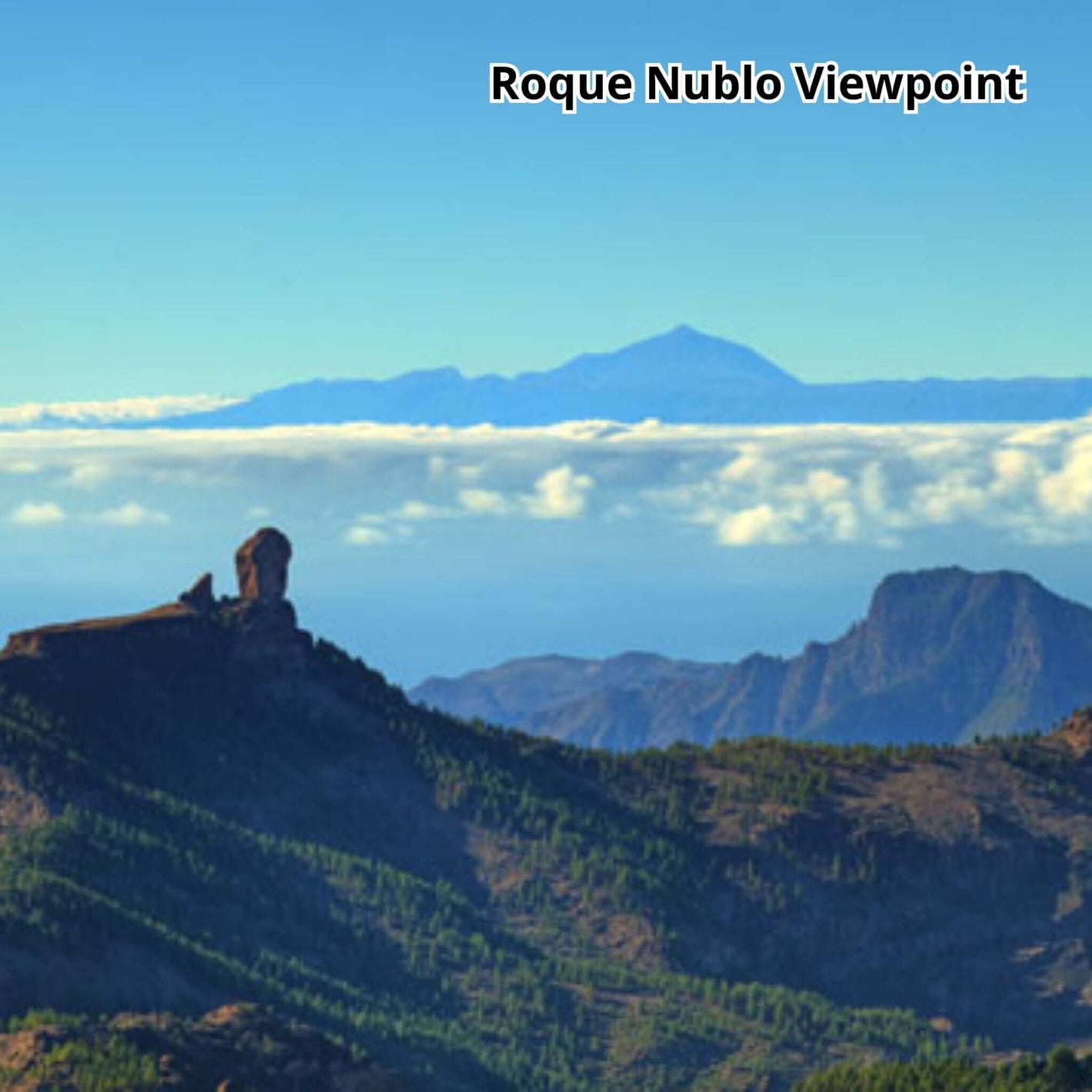 gran canaria bus tour - vip tour - roque nublo viewpoint