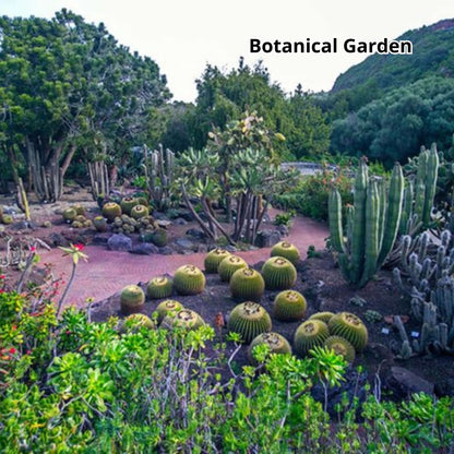 gran canaria bus tour - botanical garden