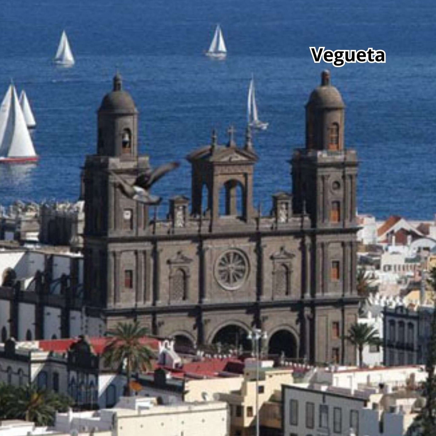 gran canaria bus tour - cathedral