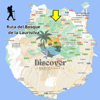 Hiking - The Laurel Forest Route