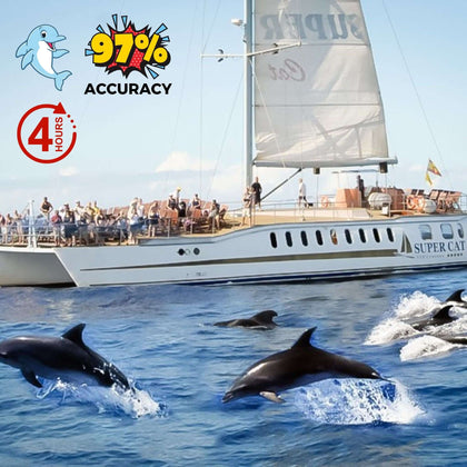Dolphins swimming near the Supercat Gran Canaria with people on board, under a clear blue sky.