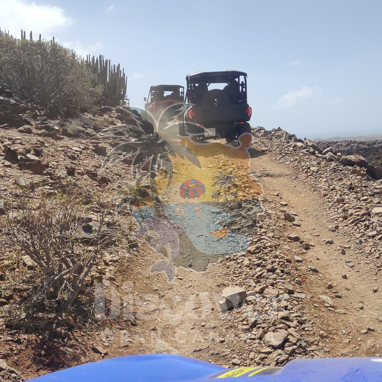 buggy tour gran canaria, back of the buggy